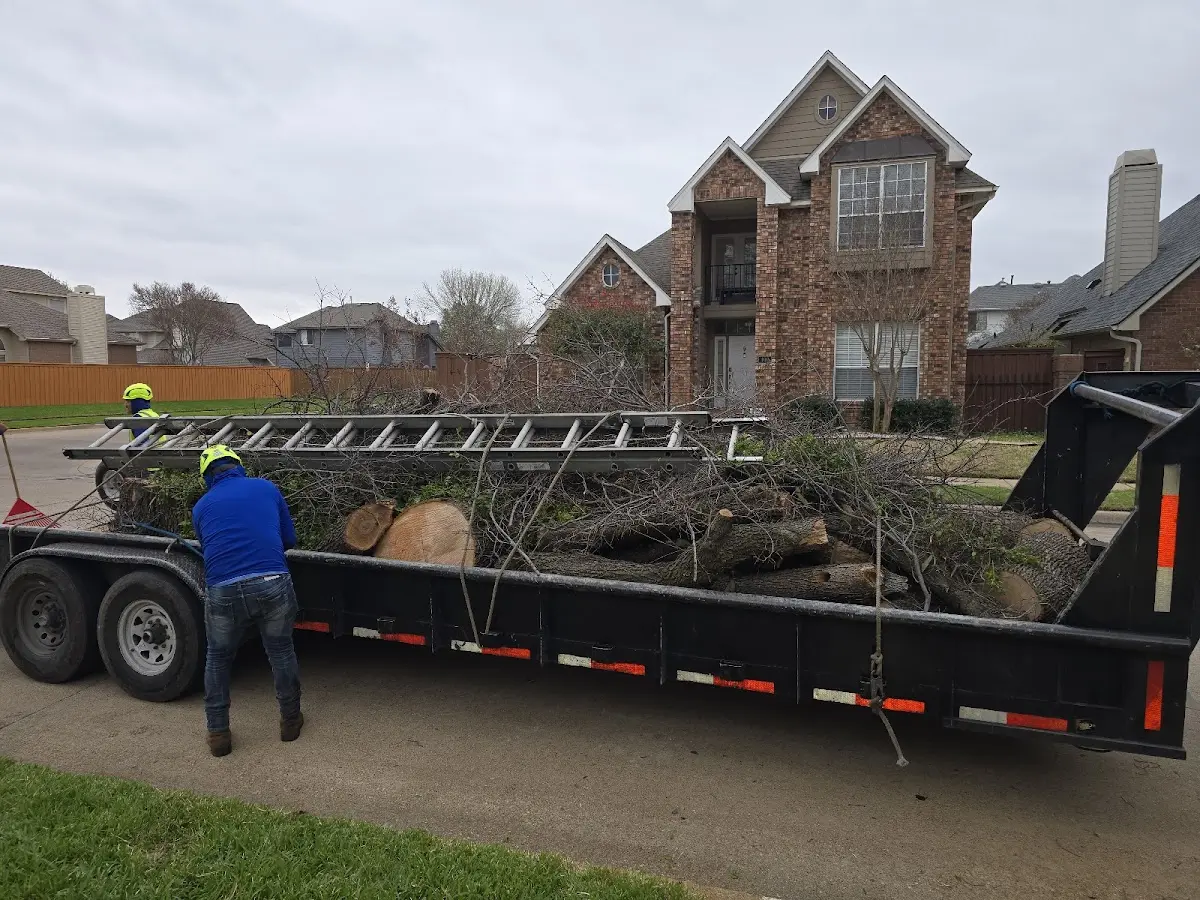 Expert Tree Fertilization with proper safety equipment in Tippecanoe